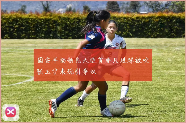 国安半场领先大连贾非凡进球被吹张玉宁表现引争议