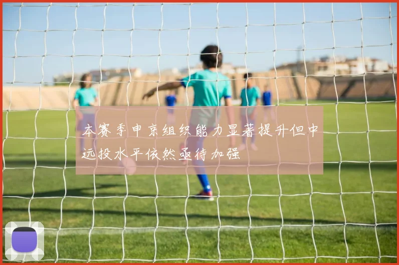 本赛季申京组织能力显著提升但中远投水平依然亟待加强