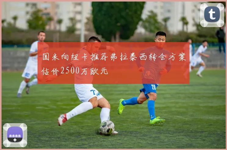 国米向纽卡推荐弗拉泰西转会方案估价2500万欧元